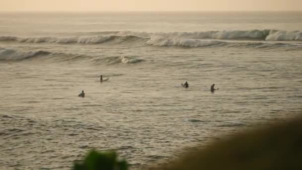 Grupa Jeździ Fali Oceanów Balans Deskach Surferzy Wiosłują Żeby Złapać — Wideo stockowe