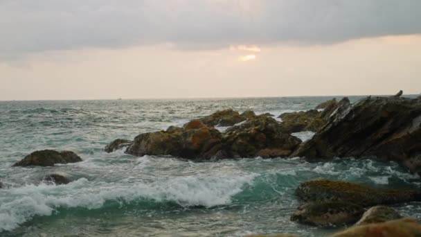 Морские Птицы Сидят Камне Волны Разбиваются Скалистом Берегу Сумерках Морской — стоковое видео