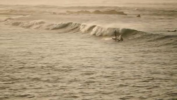 Los Atletas Atrapan Olas Para Sesión Surf Atardecer Playa Escénica — Vídeo de stock