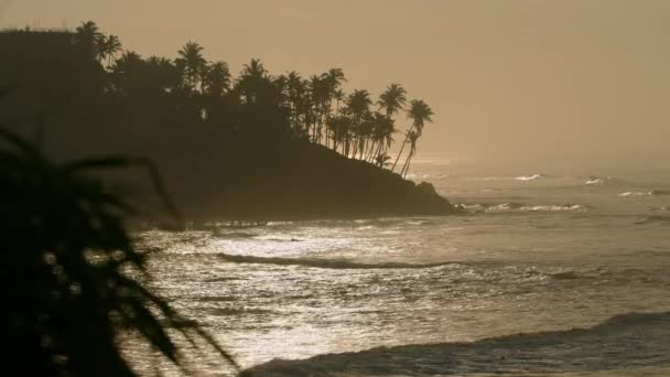 Silhouet Palmen Rand Sri Lankas Kokosheuvel Surfer Trotseert Golven Als — Stockvideo