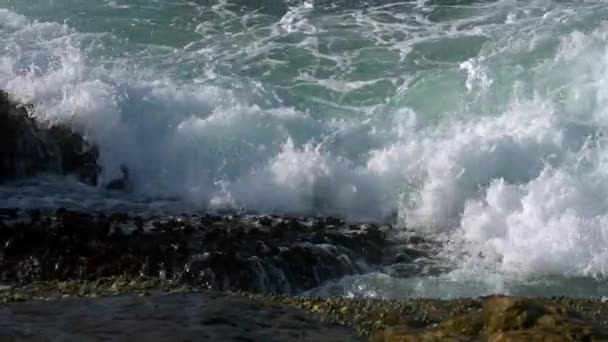 动态的海洋力 自然的水能展现在海滨 强大的海浪冲击着岩石海岸 浪花喷涌 泡沫在海岸风景中形成 海水退去 露出布满苔藓的岩石 — 图库视频影像
