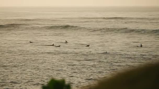 Kelompok Rides Membengkak Praktek Olahraga Surfers Dayung Menangkap Gelombang Laut — Stok Video