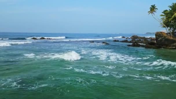 清澈的海水与原始的海岸线椰子树相交 相映成趣 空中风景捕捉了斯里兰卡充满活力的达拉韦拉海滩 海浪拍击着岩石 — 图库视频影像