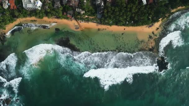 Turisták Lazítanak Úsznak Trópusi Srí Lanka Légi Felvételen Dalawella Tengerparti — Stock videók