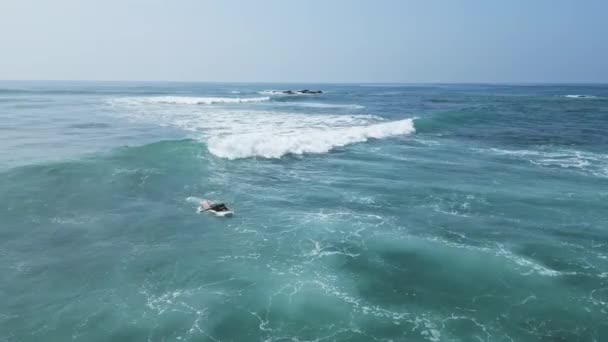 2023 Jungle Beach Weligama Sri Lanka Exotische Surfspot Board Rider — Stockvideo