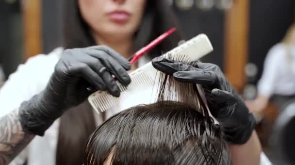 Técnica Corte Profissional Ambiente Barbeiro Loja Grooming Especialista Mulher Estilos — Vídeo de Stock