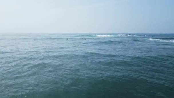 2023 Praia Selva Weligama Sri Lanka Entusiastas Gostam Surfar Exótico — Vídeo de Stock