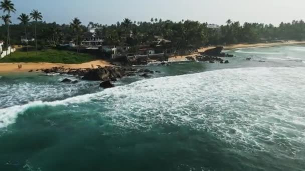 游客们游览了斯里兰卡沿海地区 惊奇地发现偏僻的海湾 生气勃勃的海洋生物 达拉韦拉海滩的空中景观显示了碧绿的波浪 金色的沙滩 茂密的棕榈条纹 理想的自然 — 图库视频影像