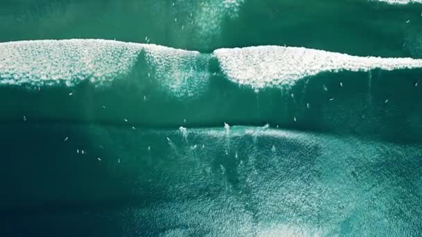 Luchtfoto Drukke Surf Plek Surfers Peddelen Aan Boord Vangst Golven — Stockvideo