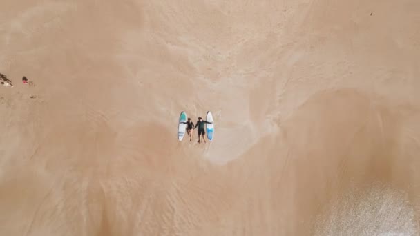Вид Сверху Воздуха Мужчину Женщину Темных Купальниках Лежащую Песчаном Берегу — стоковое видео