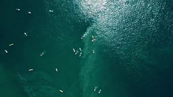 Spot Surf Plein Action Met Valeur Les Individus Pagayant Préparant — Video