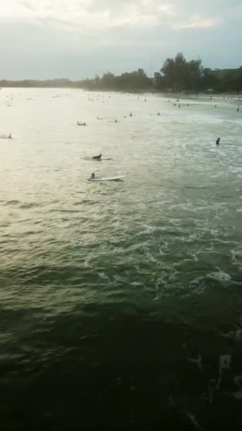 Dense Crowd Catch Surf Paddling Boards Waiting Swell Aerial View — Stock Video