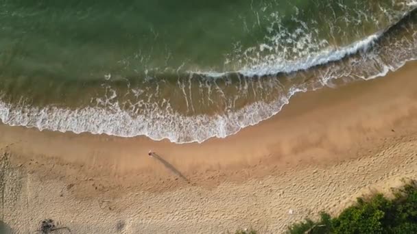 バケーション旅行者は海岸を歩き 足跡を残します 砂浜の波のエッジの遅い動きを散策するソロ女性の空中ビュー ドローンから海岸のシーンをリラックス ウェルネスリトリートコンセプト — ストック動画