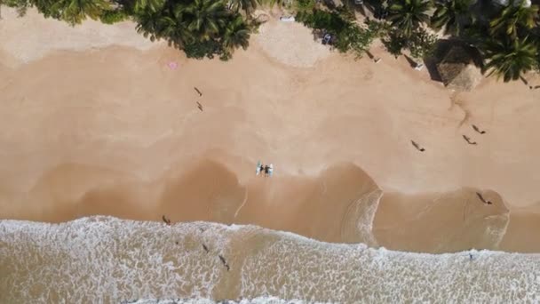 男性の空中最高の眺め 暗い水着の女性が隣のサーフボードで砂浜に横たわっています ロマンチックなサーファーカップルは 海の波で洗浄されたビーチでサーフィンをした後にリラックスします ドローン飛行機 — ストック動画