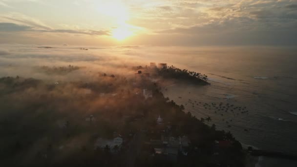 Goldenes Licht Auf Üppiger Landschaft Meer Drohnenaufnahmen Vom Sonnenaufgang Über — Stockvideo