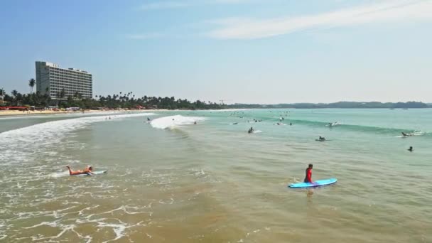 熱帯バケーションホットスポット 海洋スポーツ 混雑した波のラインナップ 人気のビーチでのサーファーの空中ビュー 波に乗って パドリング サーフボード ドットクリスタルウォーター シーサイドリゾート — ストック動画