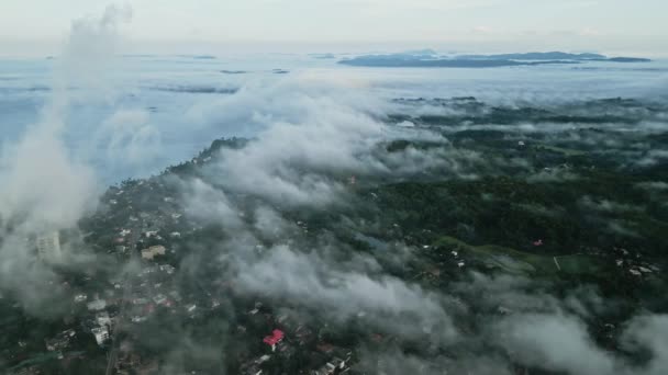 Havadan Bakıldığında Yemyeşil Ormanlar Köy Sabah Işığı Görünüyor Sise Bürünmüş — Stok video
