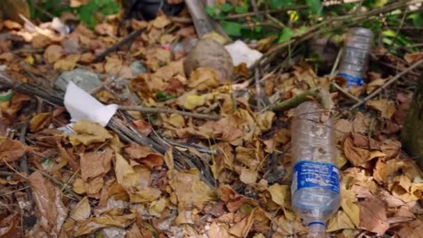 Afgedankte Plastic Flessen Afval Bosbodem Midden Van Gevallen Bladeren Vervuiling — Stockvideo