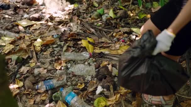 Woman Gloves Clearing Forest Rubbish Collects Plastic Bottles Trash Bag — Stock Video