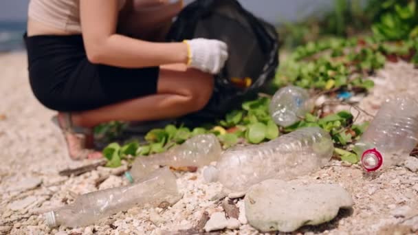 沿海清理活动 妇女清除废物 保护海洋环境 女性志愿者清理被丢弃的海滩 收集塑料垃圾 海滨保育工作 与海洋污染作斗争 — 图库视频影像