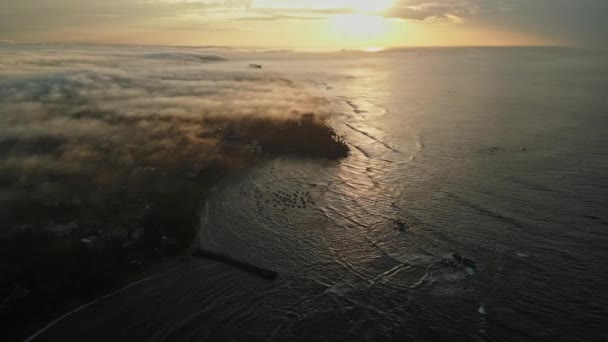 Şafak Sökerken Altın Işık Yemyeşil Araziyi Dingin Okyanusu Yıkıyor Sis — Stok video