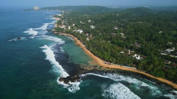 풍경에 적합합니다 다와엘라 석호의 청록색 바다와 스리랑카 야자수 관광객 수영과 — 비디오