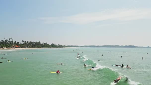Águas Cristalinas Praia Repleta Palmeiras Com Vibrante Cultura Surf Vídeo — Vídeo de Stock