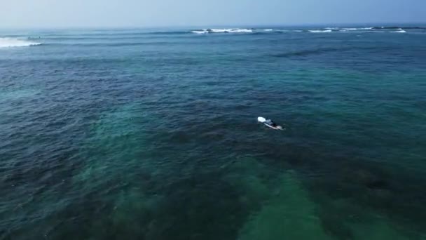 2023 Praia Selva Weligama Sri Lanka Aventura Buscador Vasto Oceano — Vídeo de Stock