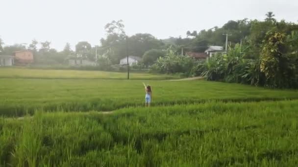孤独的旅行者在苍翠的绿茵中享受着宁静 从空中看 身着连衣裙的女人站在稻田的路上 女性追求和平 自然界的孤独 可持续旅游业 — 图库视频影像