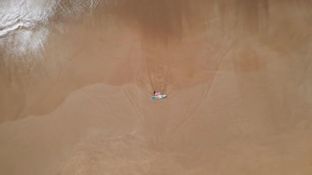 Вид Сверху Воздуха Стройную Женщину Розовом Бикини Лежащую Песчаном Берегу — стоковое видео