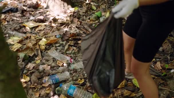 Voluntário Recolhe Garrafas Descartadas Floresta Ativista Luvas Arruma Lixo Preserva — Vídeo de Stock