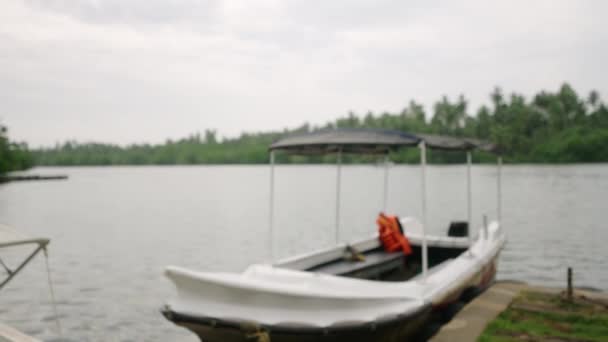 Touristen Stechen Mit Motorbooten See Und Erkunden Die Malerische Wassersafari — Stockvideo