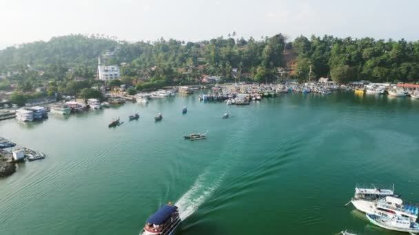 Luftaufnahme Von Mirissa Hafen Pulsierende Fischerboote Lokale Fischer Indischen Ozean — Stockvideo