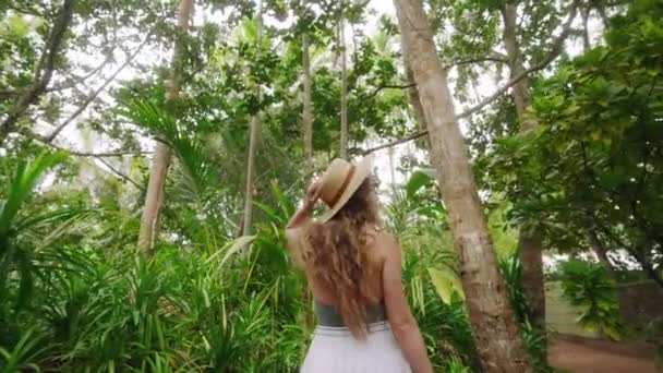 Wanderer Explores Tropical Flora Ambiance Calm Serenity Botanic Diversity Encapsulated — Stock Video