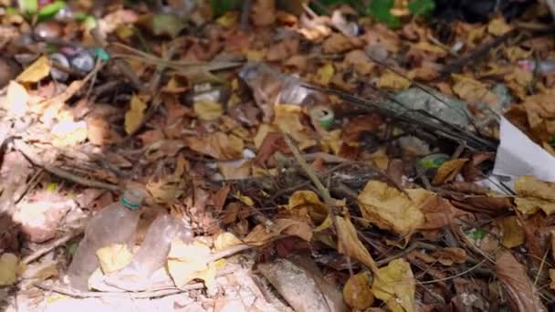 Odhozené Plastové Láhve Odpadní Lesní Dno Ukryté Pod Spadlým Listím — Stock video