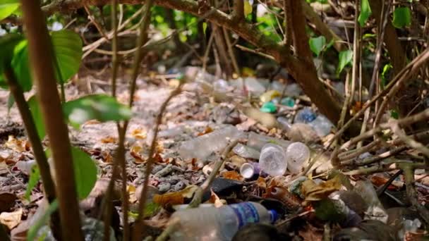 塑料垃圾堆在林地的地板上 污染了自然栖息地 丢弃的瓶子 包装与落叶混合 人类塑料废物的垃圾堆 垃圾堆 — 图库视频影像