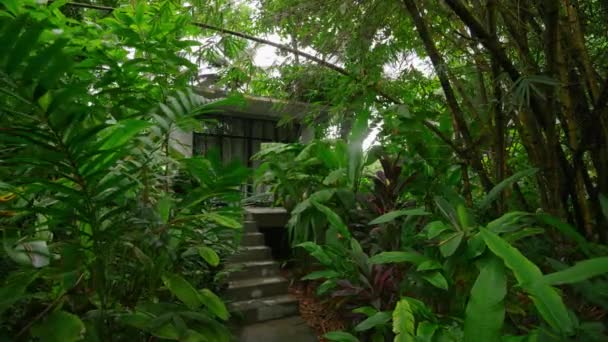 돌길은 이국적인 식물들 사이에 숨겨진 집으로 이어집니다 풍부한 정원은 럭셔리 — 비디오