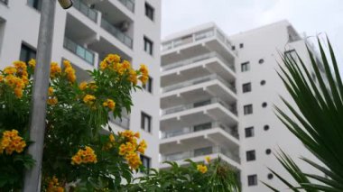 Çağdaş apartman kompleksi, yemyeşil, balkon manzaralı kentsel konutlarda sergilenen yatırım potansiyeli, altyapı palmiye bitkisi çevresi sunuyor