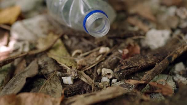隐士蟹在废弃的塑料瓶周围穿梭 野生动物对污染的适应性 昆虫在森林地面上搜寻垃圾 垃圾堆 垃圾堆 人类废物循环再用生态问题 — 图库视频影像