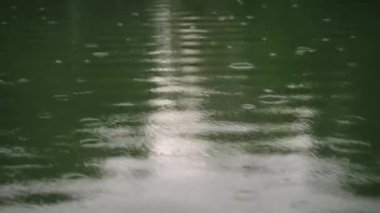Damlalar desenler oluşturur, doğal çevreye ışığı yansıtır, zen benzeri bir ortam için mükemmeldir. Temiz damlacıklar sakin suya düşer ve dingin göl yüzeyinde dalgalanmalar yaratır..