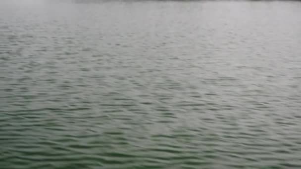 Lugn Naturscen Med Båtperspektiv Gryningen Lämplig För Lugn Bakgrund Kameran — Stockvideo