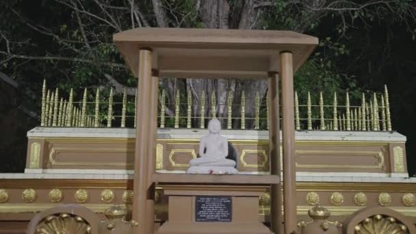 Heiliger Ort Beleuchtet Heitere Atmosphäre Buddhistische Statue Meditiert Nachts Tempelpavillon — Stockvideo