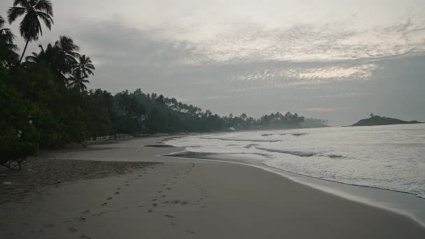 Океанский Серфинг Тропическое Песчаное Побережье Пальмами Рано Утром Следы Песке — стоковое видео