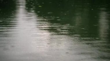 Sinema dokusunda doğal desenler yakın görüşte. Yağmur damlaları gölün sakin su yüzeyinde dalgalanmalar yaratır. Gökten düşen damlalar göletin huzurunu bozar, doğal manzarayı yansıtır..