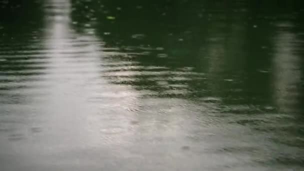 패턴의 시네마틱 질감은 가까운 시야에서 비방울은 호수의 고요한 표면에 잔물을 — 비디오