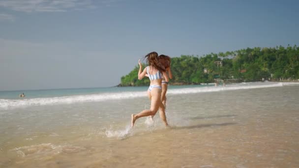Young Slim Women Swimwear Run Sea Surf Exotic Island Cheerful — Stock Video
