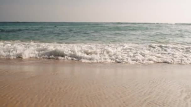 Serene Beach Scene Tranquil Ocean Movements Pristine Coastline Natures Rhythm — Stock Video
