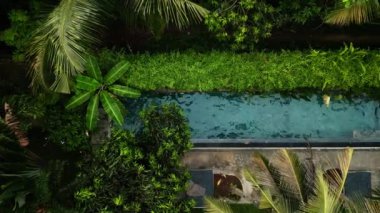 Sakin ve tenha bir ortamda sakin bir aktivite. Hava görüntüsü, yeşilliklerle çevrili yemyeşil bir tropikal havuzda yüzen kadını yakalıyor. Doğada yüzmek, seyahat ve rahatlama için mükemmel..