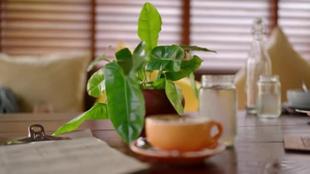 バリ島のヒップスターカフェの木のテーブルにグリーンポテト植物 ぼやけたコーヒー メニュー トロピカルレストランのテーブルにカプチーノ スタイリッシュなセラミックジャグでかわいい緑の花 クローズアップ — ストック動画