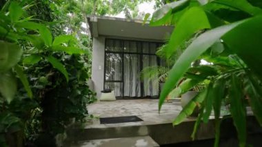 Uzaktan kumandalı çalışma düzeni, boş günler, dijital göçebe yaşam tarzı. Rahat kadın yeşil bahçedeki özel havuzun yanında dinleniyor, güneşli hafta sonlarında dizüstü bilgisayar kullanıyor. Sakin kaçış, tropikal tatil havası.